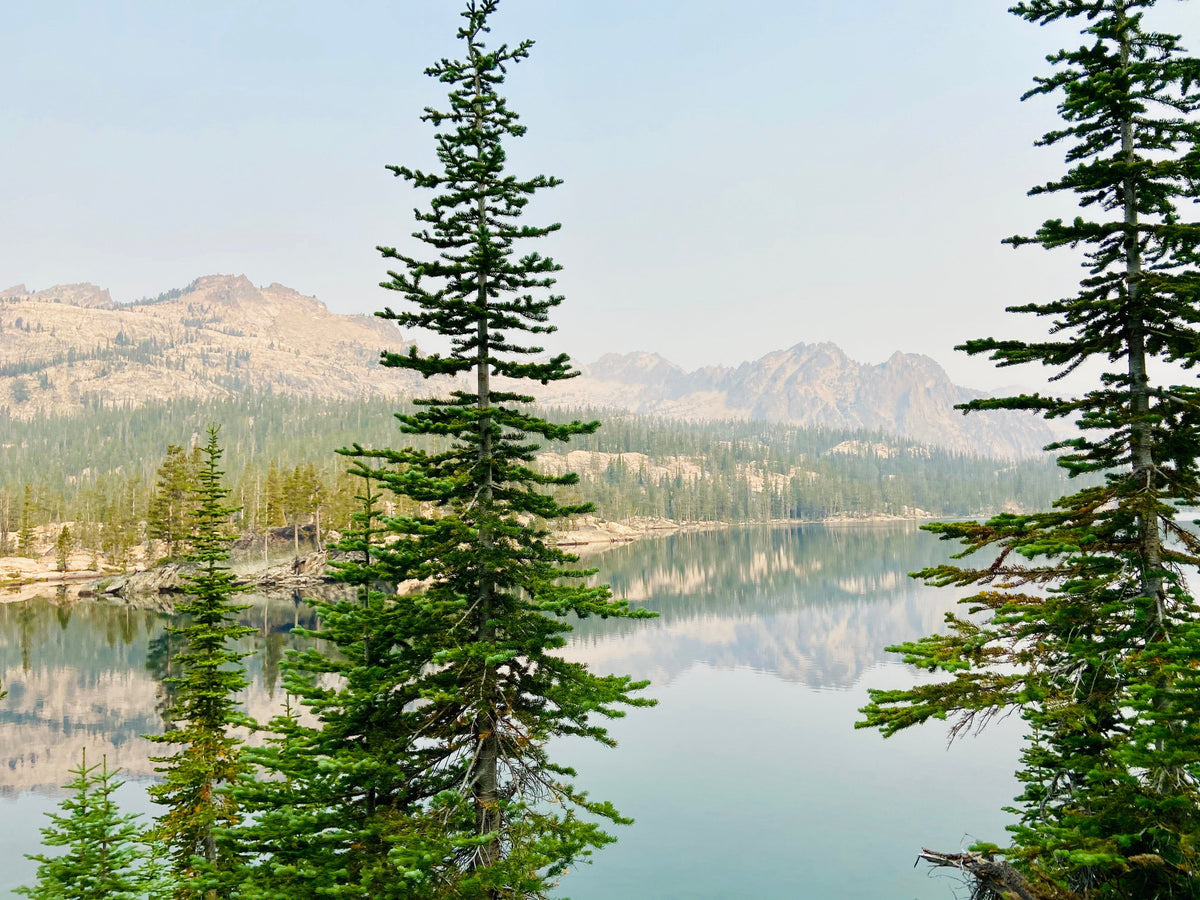 Scenic view of a lake with trees and mountains in the background