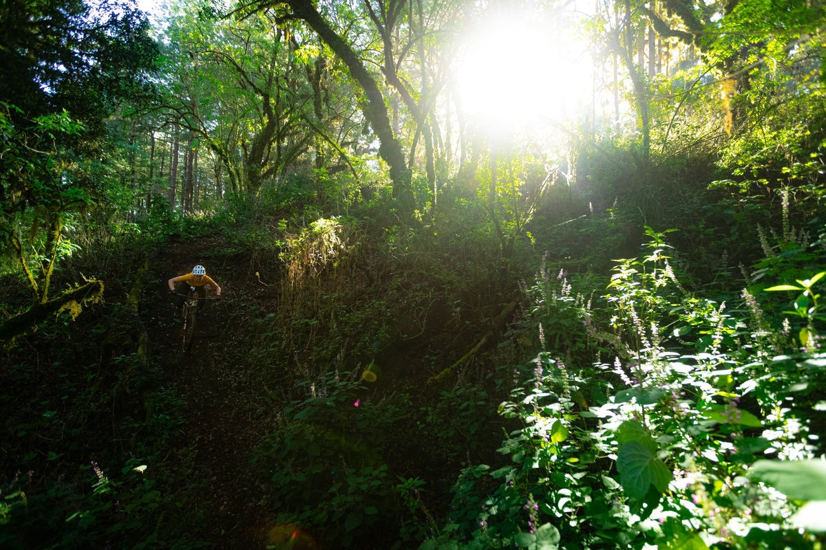 A mountain biker navigating a forest trail with sunlight filtering through the trees