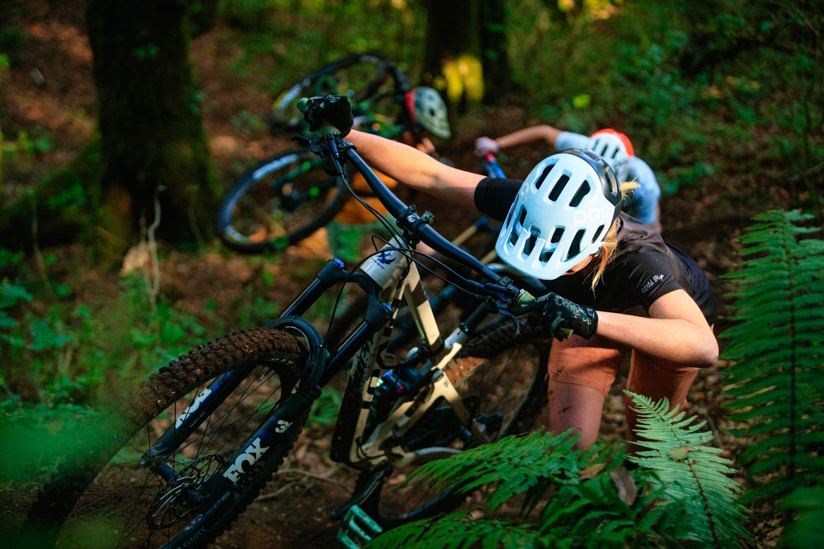 Mountain bikers climbing a trail through ferns in a forest